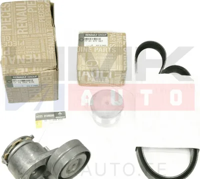 Mitmikkiilrihma komplekt OEM Renault Trafic II/Opel Vivaro/Nissan Primastar 1,9DCI - REN  117208883R - OE - 100% Genuine Part