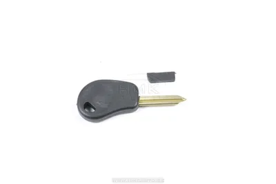 Insert clé brut Citroen Berlingo/Peugeot Partner - S61279