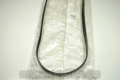 Mitmikkiilrihm 6PK1454 OEM Citroen/Peugeot - PSA 5750YC - OE - 100% Genuine Part