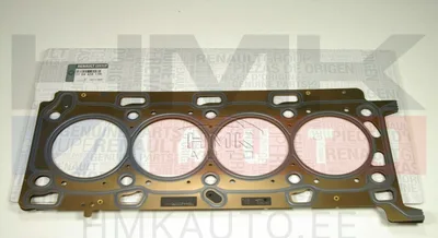 Plokikaane tihend OEM Renault Master 2010- 2,3DCI - REN 110442017R - OE - 100% Genuine Part