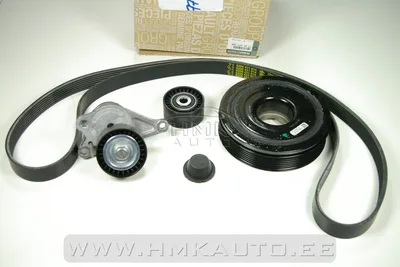 Mitmikkiilrihma komplekt koos väntvõlli rihmarattaga OEM Renault 2,0DCi (ei-AC) - REN  7701477345 - OE - 100% Genuine Part