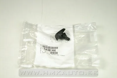 Klaasipesuri pihusti OEM Peugeot 307 - PSA  6438H4 - OE - 100% Genuine Part