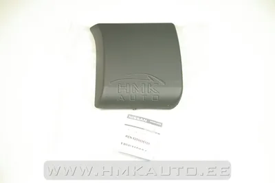 Ukseposti liist parem OEM Renault Trafic II/Opel Vivaro - REN  8200036101 - OE - 100% Genuine Part