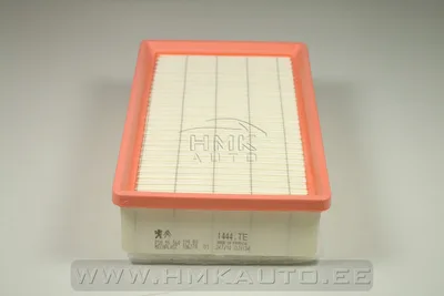 Фильтр воздушный OEM Citroen/Peugeot 2,0HDI - PSA 1444TE - OE - 100% Genuine Part