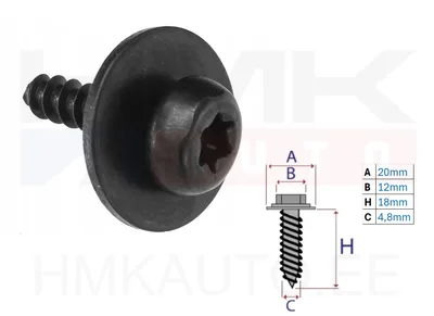 Pohjankehitysruuvi aluslevyllä 4,8x20mm - C60460