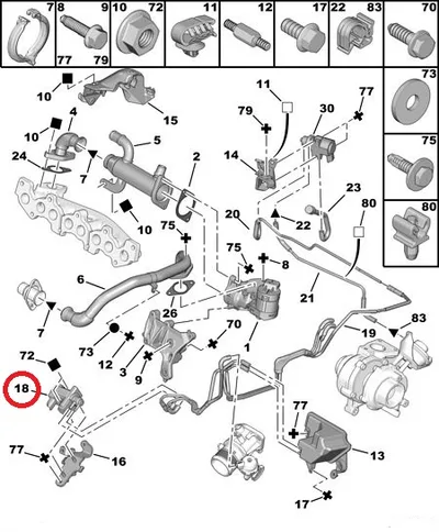 EGR juhtsolenoid OEM Citroen/Peugeot 2,0HDI - PSA  1618S5 - OE - 100% Genuine Part