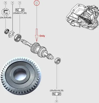 6-käigu hammasratas peavõllile 47H Ø35mm Renault PF6 k.kast  28/47 - OM-11-697