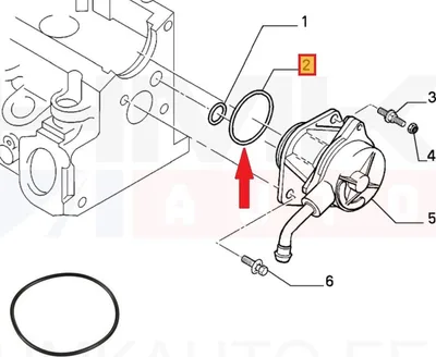 Vaakumpumba tihendusrõngas OEM Citroen/Peugeot/Fiat 1,9D - PSA  455605 - OE - 100% Genuine Part