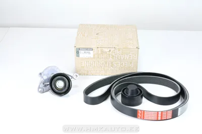 Mitmikkiilrihma komplekt OEM Renault Master 2,3DCI 2010- AC+ - REN  117207736R - OE - 100% Genuine Part