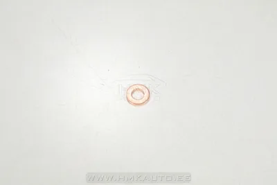 Pihusti tihendusseib Jumper/Boxer/Ducato 2,2HDI 06- Euro4 - LEG  9700010