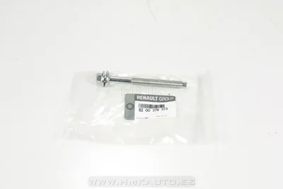 Pihusti kinnituspolt OEM Renault 1,6DCI/2,0DCI - REN 8200376373 - OE - 100% Genuine Part