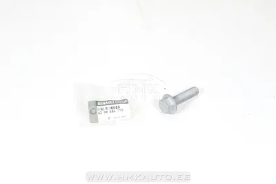 Väntvõlli rihmaratta polt OEM Renault 1,9DCI - REN 8200689705 - OE - 100% Genuine Part