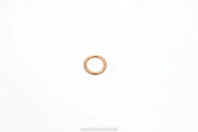 Õlikorgi tihendiseib 14mm - SAS-3130270 - Sasic
