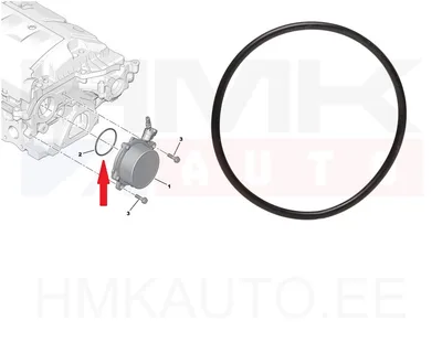Vaakumpumba tihendusrõngas OEM Citroen/Peugeot 1,6VTI/THP EP6  56x2,75 - PSA  455622 - OE - 100% Genuine Part