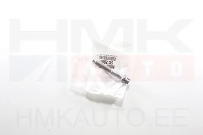 Pihusti kinnituspolt OEM Citroen/Peugeot 1,6HDI - PSA 1982G5 - OE - 100% Genuine Part