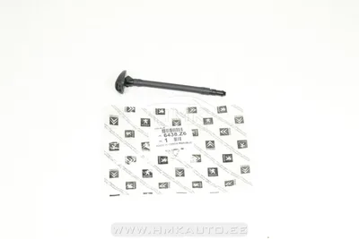 Klaasipesuri pihusti OEM Citroen C5 2008- - PSA  6438Z6 - OE - 100% Genuine Part