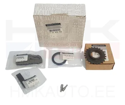 Õlipumba keti komplekt OEM Renault F9Q - REN 7701473163 - OE - 100% Genuine Part