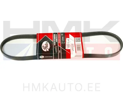 Mitmikkiilrihm elastne 4PK922 Jumper/Boxer III - 4PK922SF-GAT - Gates
