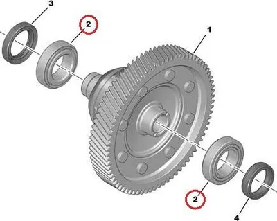 Käigukasti laager (differentsiaal) OEM Citroen/Peugeot BVM6 - PSA 312542 - OE - 100% Genuine Part