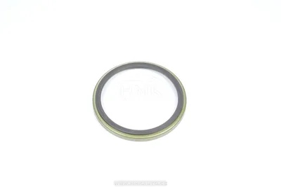 Bague ABS arrière Renault Laguna II/Espave IV/Scenic II/Vel Satis - REN  8200655249*