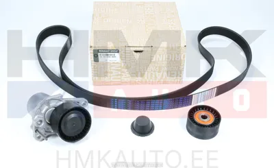 Mitmikkiilrihma komplekt OEM Renault Talisman/Trafic 1,6DCI - REN  117209886R - OE - 100% Genuine Part