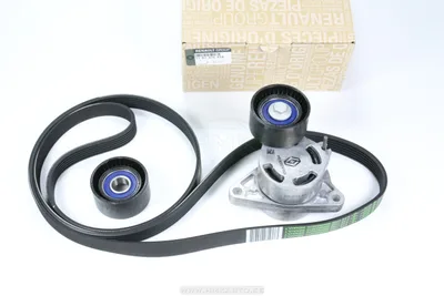 Mitmikkiilrihma komplekt OEM Renault 2,2-2,5DCI 6PK1795 - REN  7701475628 - OE - 100% Genuine Part