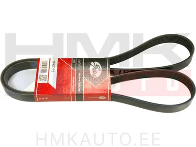 Mitmikkiilrihm 7PK1790 Renault 1.9dCI/2.0 16V/2.5dCI - 7PK1793-GAT - Gates