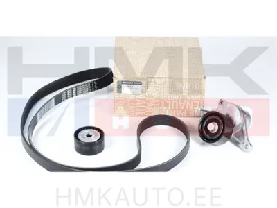 Mitmikkiilrihma komplekt OEM Renault Master 2,3DCI 2010- - REN  117200334R - OE - 100% Genuine Part