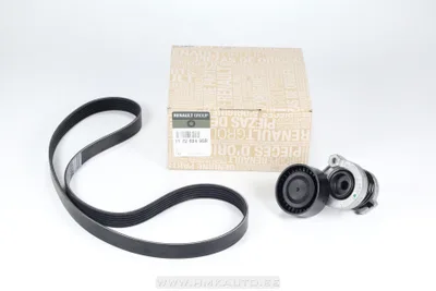 Mitmikkiilrihma komplekt OEM Renault 1,5DCI - REN  117202495R - OE - 100% Genuine Part