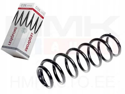 Coil spring , rear Renault Scenic III - 4272958