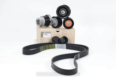 Mitmikkiilrihma komplekt OEM Renault 0,9-1,2TCE (7PK1601) - REN  117204083R - OE - 100% Genuine Part