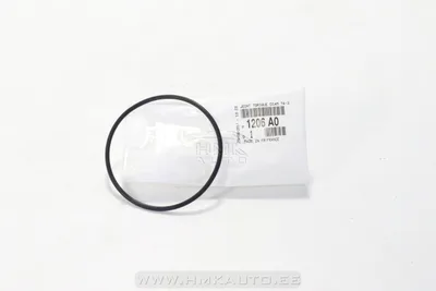 Veepumba tihend OEM Citroen/Peugeot 1.6 16v (TU5, EP5 mootor) - PSA  1206A0 - OE - 100% Genuine Part