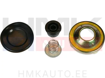 Polttoainepumpun kalvosarja - M80032