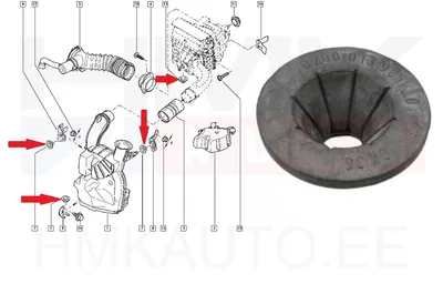 Ilmansuodatinkotelon kumikiinnike OEM Renault - REN 8200013905 - OE - 100% Genuine Part