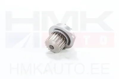 Veepump Citroen/Peugeot 1,6i 16V TU5JP4 - AI 1600