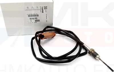 Väljalaskegaaside temperatuuri andur OEM Citroen/Peugeot/Fiat - PSA  1618PG - OE - 100% Genuine Part