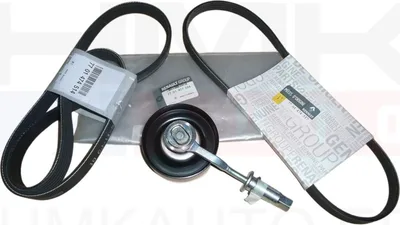 Mitmikkiilrihma komplekt OEM Renault Vel Satis 3,5 - REN  7701477524 - OE - 100% Genuine Part