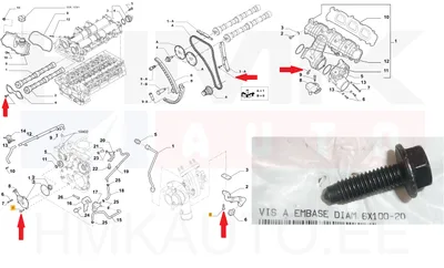 Turbo õlitoru kinnituspolt M6x1,00-L20 OEM Jumper/Boxer/Ducato 3,0HDi (ülemine) - PSA  1606632880 - OE - 100% Genuine Part