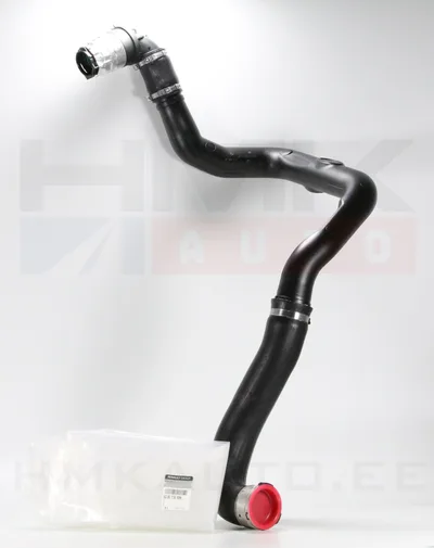 Turbotoru OEM Renault Master III 2,3DCI 10- - REN 8200730589 - OE - 100% Genuine Part