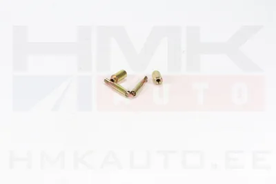 Pihusti kinnituspoltide komplekt Renault 2,2-2,5DCI - R0348