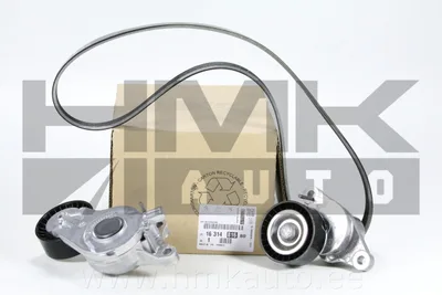 Mitmikkiilrihma komplekt OEM Citroen/Peugeot  1,6HDI DV6F - PSA  1631481680 - OE - 100% Genuine Part