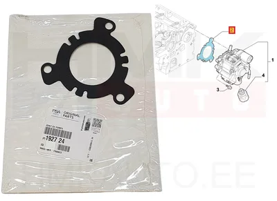 Kõrgsurvepumba tihend OEM Citroen/Peugeot/Fiat 2,0HDi DW10 Euro4 - PSA 192724 - OE - 100% Genuine Part
