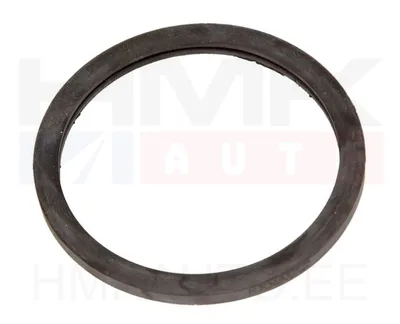 Termostaadi tihend OEM Renault - REN  8200267272 - OE - 100% Genuine Part