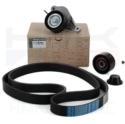 Mitmikkiilrihma komplekt OEM Renault Master 2,3DCI 2010- ilma AC-ta - REN  117209389R - OE - 100% Genuine Part