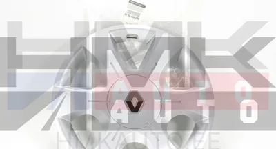 Wheel cover 16" Renault Master -2010 / Trafic 01- - REN  8200458589 - OE - 100% Genuine Part