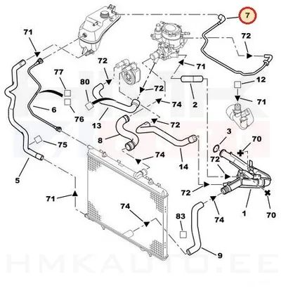 Paisupaagi ülevoolu toru OEM Citroen Berlingo/Peugeot Partner 02-08 - PSA  132324 - OE - 100% Genuine Part