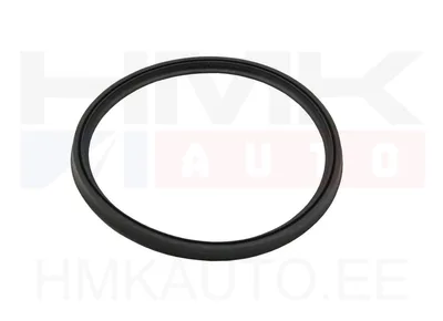 Joint de conduite de turbo OEM BMW - 13718596850 - OE - 100% Genuine Part
