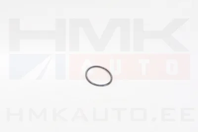 Kütusepumba tihend OEM Opel 1,3 - OP 93177681 - OE - 100% Genuine Part