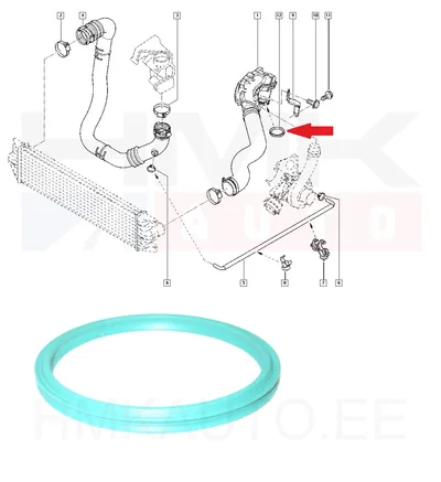 Turbo õhutoru tihend OEM Renault Master 2,5dCi - REN  7701067701 - OE - 100% Genuine Part