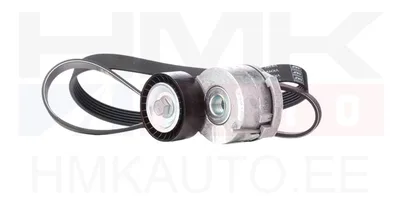 Mitmikkiilrihma komplekt OEM Citroen/Peugeot 2,0HDi - PSA  1611278380 - OE - 100% Genuine Part